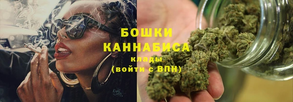 ПСИЛОЦИБИНОВЫЕ ГРИБЫ Алзамай