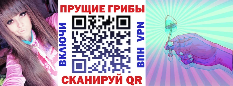 купить   Тара  Галлюциногенные грибы ЛСД 