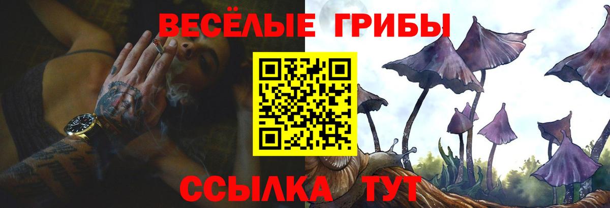 Псилоцибиновые грибы Cubensis  Вход с VPN  Тара 