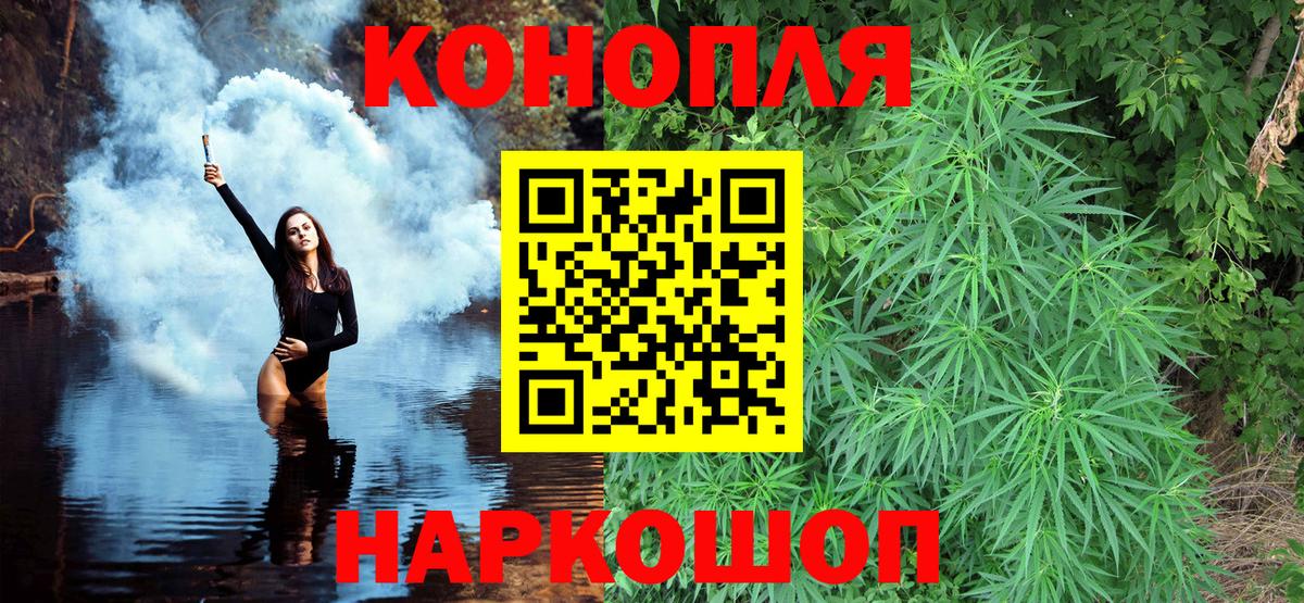 Бошки Шишки OG Kush  Вход с VPN  Тара  Конопля планчик 